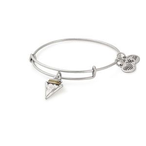 Alex and Ani Arrowhead Charm Bracelet